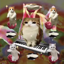 sleepyheaaaaaad 🐈🐈 make your cat sing at talkingpets.ai #meowl #catsmeme #brainrot #catsoftiktok #memecat 