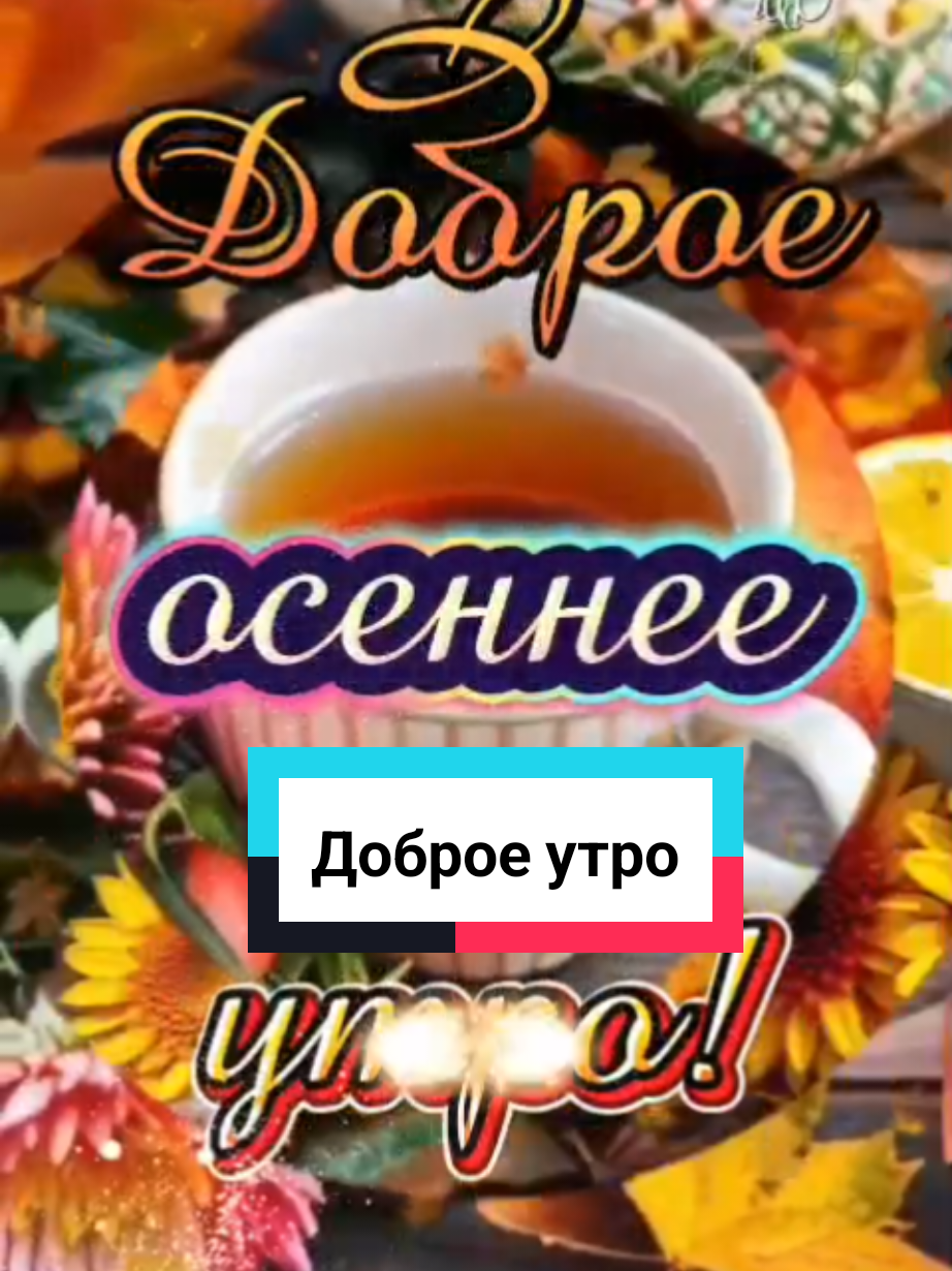 Доброе утро!  #доброеутро #хорошегодня #доброгоутра #сдобрымутром #новинки 