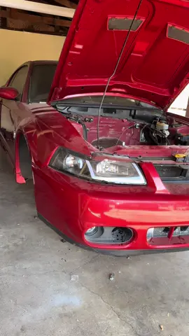 Story of my cobra #foryoupage #fyp #trending #fordmustang #terminatorcobra 