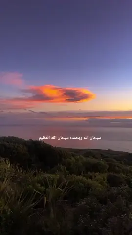 #_القران_الكريم 