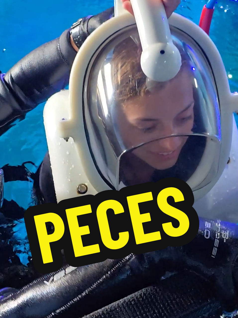 PECES INCREÍBLES en el ACUARIO de CANCÚN #mexico #vivamexico #mexicanos #cdmx  El Acuario Interactivo de Cancún se ubica en la ZONA HOTELERA KM 12.5 Plaza La Isla sección 1,  es el único acuario de toda la ZONA HOTELERA! Visiten sus redes sociales:  Instagram: @AquariumCancun Facebook: @InteractiveAquariumCancun Website: www.interactiveaquariumcancun.com Whatsapp: +52 998 240 1072 #PorUnBrillantePlanetaAzul También sigan las redes sociales DELPHINUS: Instagram: @DelphinusWorld Tiktok: @DelphinusWorld Facebook: @DelphinusWorld Website: www.delphinusworld.com Whatsapp: +52 998 240 1072