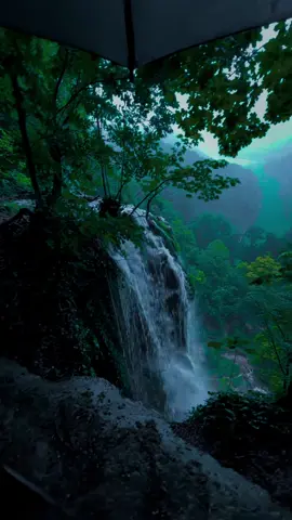 🌧️🌧️🌧️#nature #calm #darkaesthetic #naturephotography #foryоu 