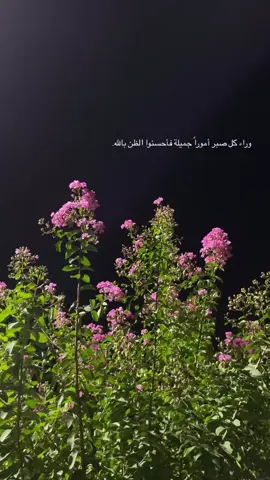 #اكسبلور #الحمدلله_دائماً_وابداً💚🤲 #اكسبلور                      #CapCut 