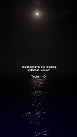 #shrinovv⚡️ #qruz 