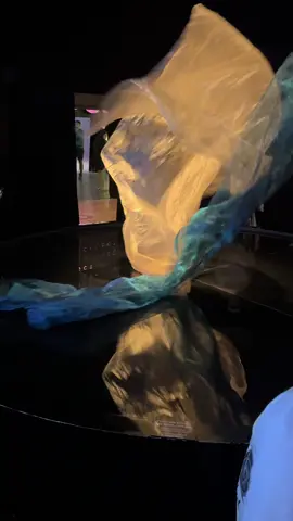 Que privilégio poder ver pessoalmente! #fy #quatrooceanos #rj #museudoamanhã 