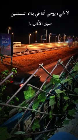 #لبنان 