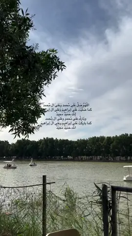 🤍✨.              #شيعة_الامام_علي_عليه_السلام #يازينب_يامولاتي #313🏴 #💗✨ #يامهدي_📿313 