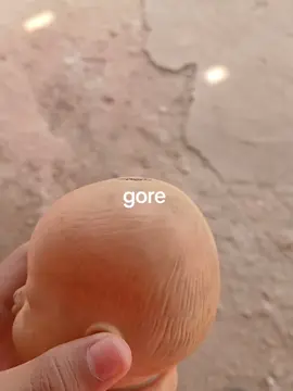 gore