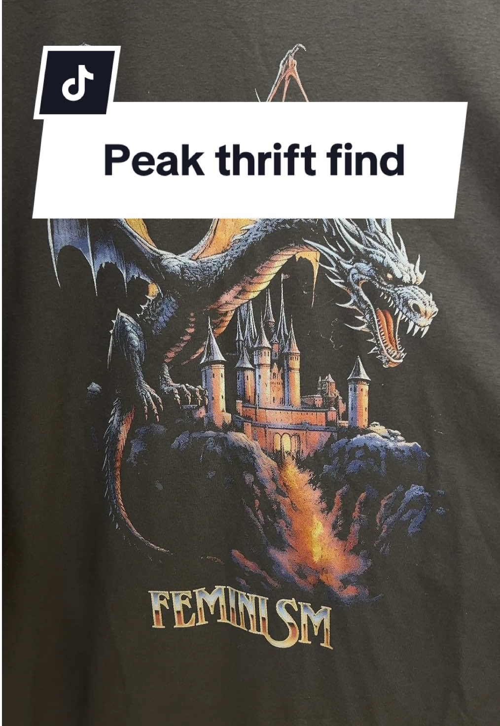 PEAK thrift find, I genuinely don’t think I’ll ever find anything this good again  #thriftstore #thriftfind #feminism #dragon #peak 