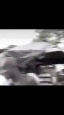 les vrai mangeur pork