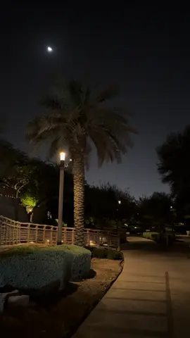 ✨✨. #الدرعيه #وادي_حنيفة #pov 
