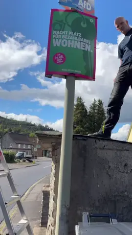 #afd #grüne #💙💙💙💙 #aliceweidel 