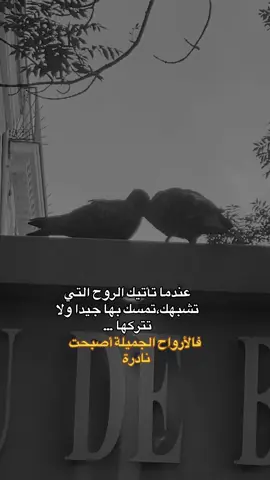 #عندما تأتيك الروح التي تشبهك تمسك بها جيدا#عباراتكم_الفخمه📿📌 #كلام_من_القلب #explore #foru 