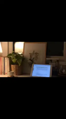 #english #foryou  #kurdish #quotes #fyp 