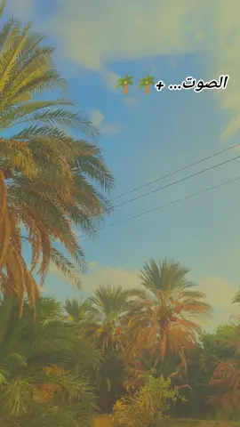 #شمالنا_الحبيب🌴💚 #جخو،الشغل،دا،يا،عالم،➕_❤_📝 #الشعب_الصيني_ماله_حل😂😂 
