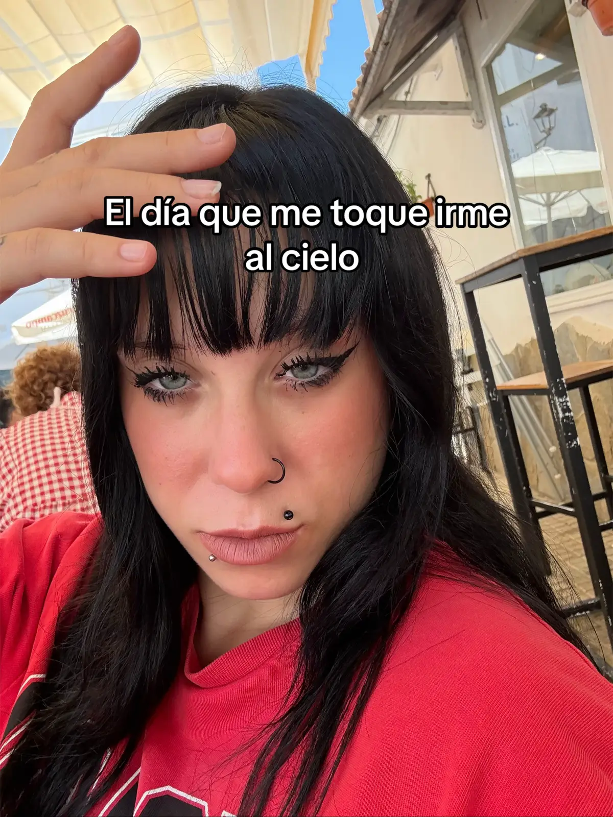 #muyviral #blue #labrador #muyviral #muyviral 