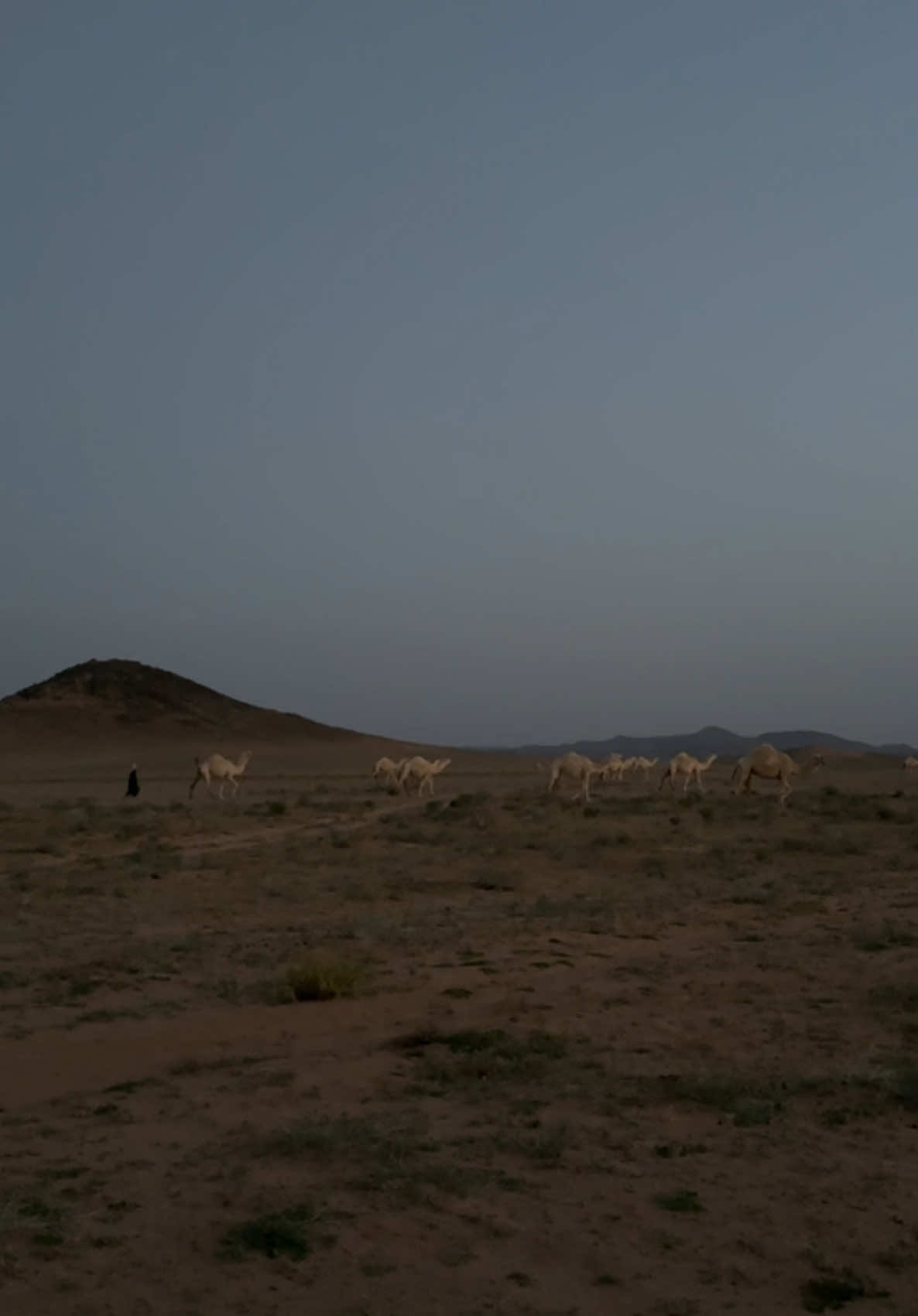 #foryoupage #foryou #4u 