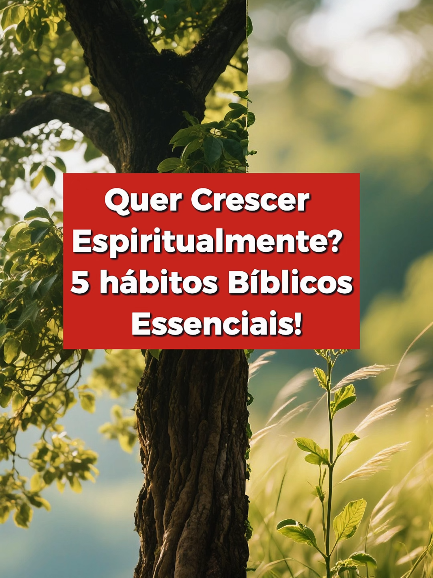Quer Crescer Espiritualmente? Descubra os 5 hábitos Bíblicos Essenciais Você já se perguntou por que alguns cristãos criam raízes profundas na fé enquanto outros permanecem frágeis? A Bíblia mostra que crescimento não é acaso, mas resultado de escolhas diárias. Neste vídeo, revelamos 5 hábitos bíblicos que vão transformar sua caminhada com Deus: Escritura, oração, jejum, comunhão e obediência. Esses pilares não são para “supercristãos”, mas para todos que desejam intimidade real com o Senhor. Cada hábito é um passo prático para fortalecer sua fé, vencer a estagnação espiritual e florescer mesmo em meio às tempestades. 📖 “O alimento sólido é para os adultos, os quais, pelo exercício constante, se tornaram aptos para discernir tanto o bem quanto o mal.” (Hebreus 5:14) ✨ Compartilhe nos comentários: Qual desses hábitos você mais precisa praticar hoje? 🙏 Se essa mensagem falou com você, deixe seu like, compartilhe com um amigo e Siga o canal para continuar essa jornada de crescimento espiritual. 🔔 Siga o canal  para mais conteúdos que transformam vidas. 👉Este vídeo foi produzido com o auxílio da tecnologia, mas por trás dele existe um coração humano — que vive, estuda e deseja compartilhar a Palavra de Deus em meio aos “porquês” da vida. #crescimentoespiritual #palavradedeus #oração #fé #vidaemcristo #habitosbiblicos #devocional #jejum #comunhão #obediência #jesuscristo #confiançaemdeus #deusefiel #motivacaocrista #oraçãoforte #palavraviva
