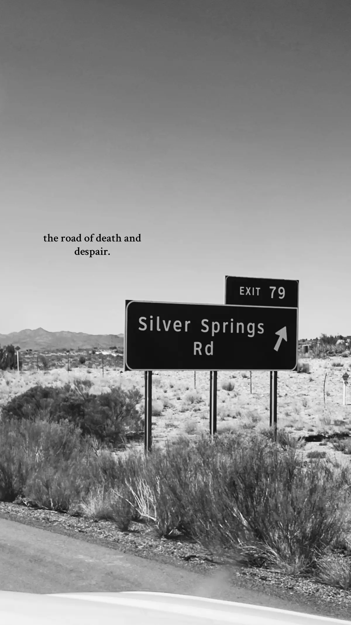 #silversprings #fleetwoodmac #stevienicks 