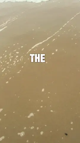 We must all live for the Lord. Keep your heads up and your faith strong! #prayers #godisgood #thankful #blessed #CapCut 