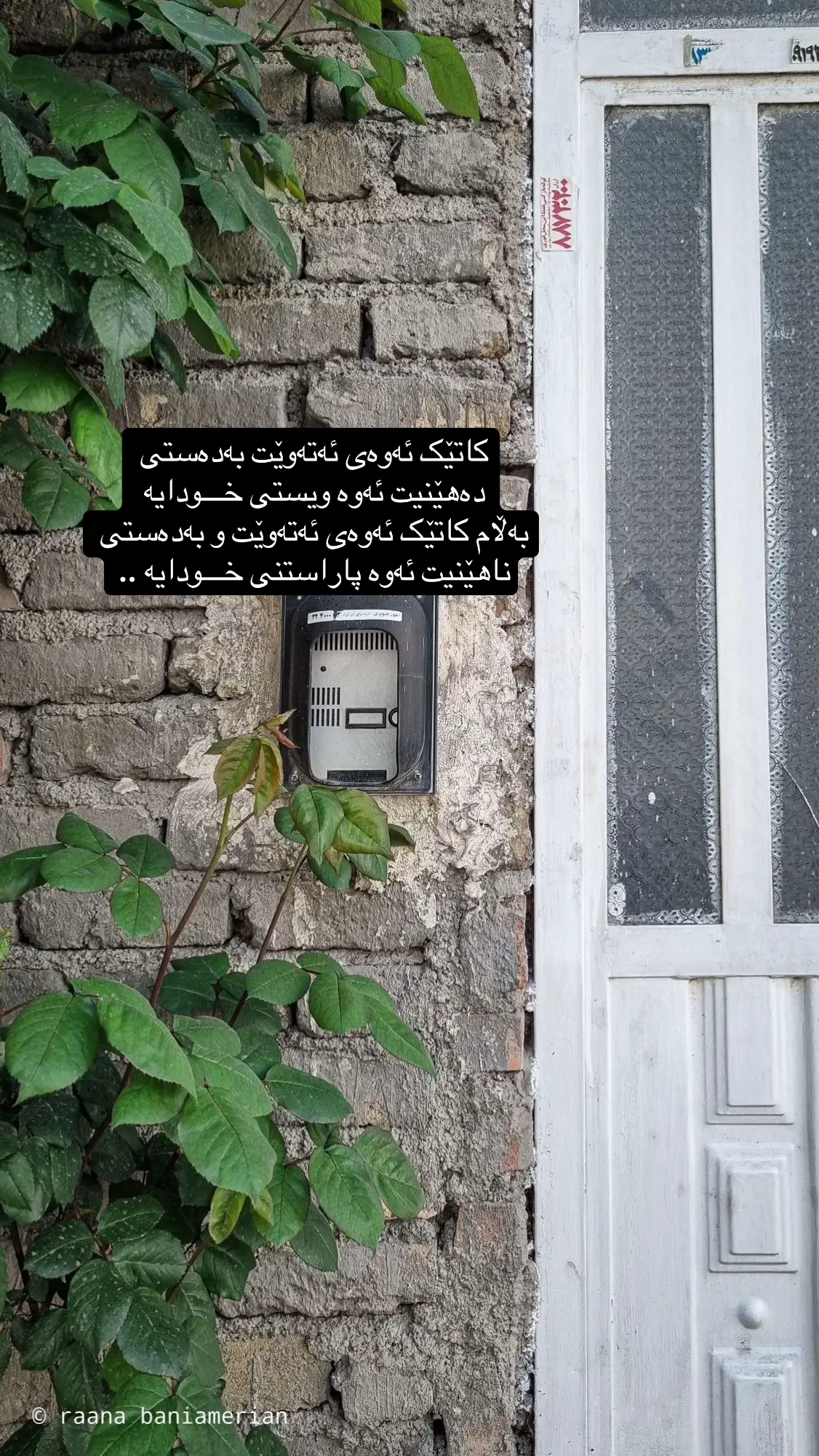 #مەنشاوی #کورستانەکەم #سلێمانیەکەم_هەولێر_کەرکوک_کەلار_سەیسایەق #کەلارەکەم_سەیسادق_چەمچەماڵ_کفری #هاوکاریتان_جێگای_رێزە 