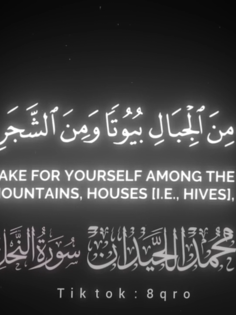 وأوحى ربك إلى النحل أن اتخذي من الجبال بيوتا | محمد اللحيدان من سورة النحل  #القرآن_الكريم #تصاميم_قرآن #تلاوة_مؤثرة #quran_alkarim #quran 
