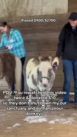 POV: You rewatched this video twice & donated $10 so they don't shut down my our sanctuary and euthanize our donkeys. #DONKEYRESCUE #BreakTheSilence #BigLick #EndAnimalAbuse #EndAnimalcruelthes #ADOPTED #DynamicDuo 