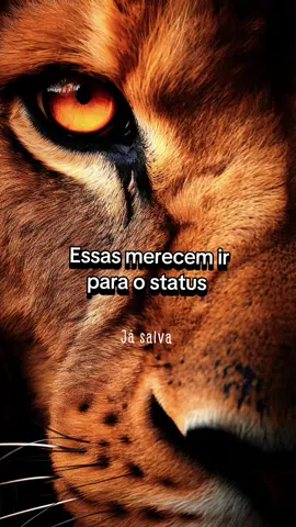 Quem não domina suas emoções, será sempre dominado pelas emoções dos outros, fica a dica 😉 #motivacional #status #frasesparastatus #mensagemdereflexão #frase 