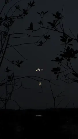 Kuch tou tha tere mere darmiyaan?  - Slowed Reverb | Without Music | Vocals | Status | Lyrics  - #fyp #foryoupage #gumraahx #foryou 