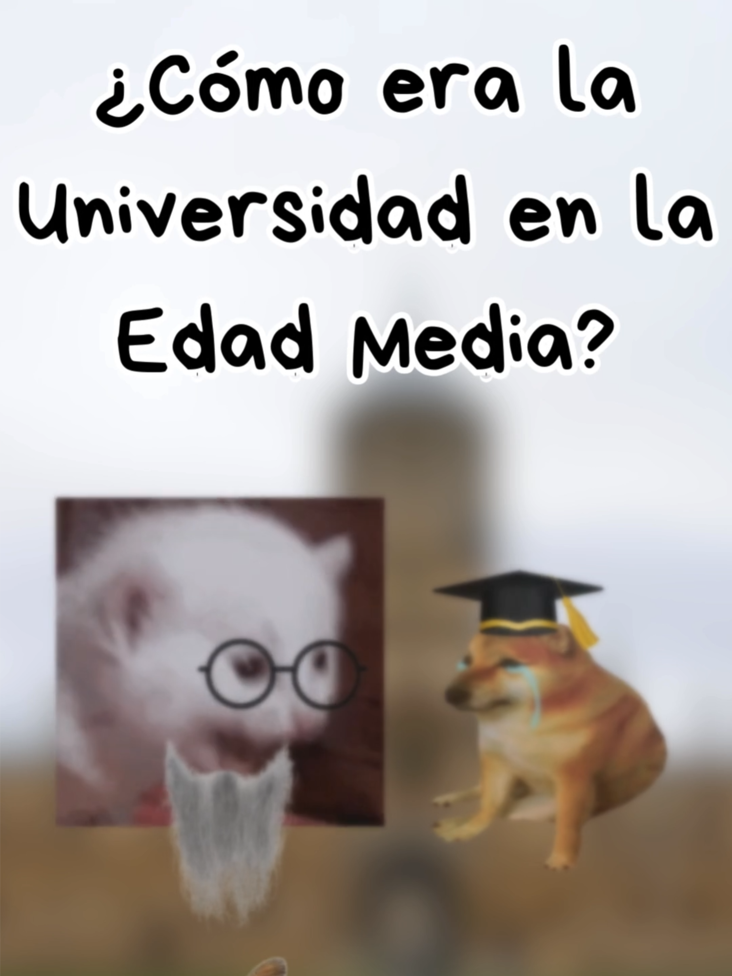 ¿Cómo era la Universidad en la Edad Media? #memetiktok #animales #historia #gatos #perros #edadmedia #animalestiktok #curiosidades