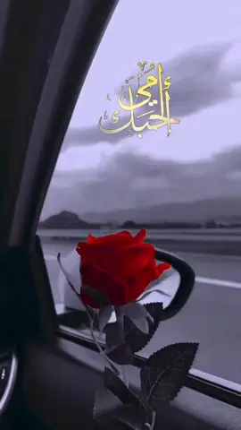 #امي 