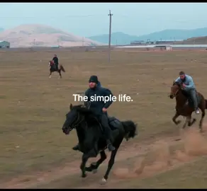 Islam Makhachev’s Farm #UFC #viral #islammakhachev #farmlife #horses 