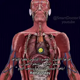 النصر داي 💛💛. #النصر 