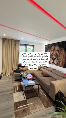 #هولندا #امستردام 