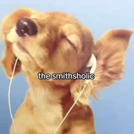 #thesmiths #fyp #recommendations #viral #reaction 