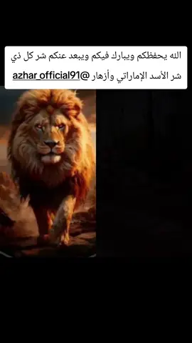 ‏#دويتو مع @قرآن ♡ QURAN #قرآن 