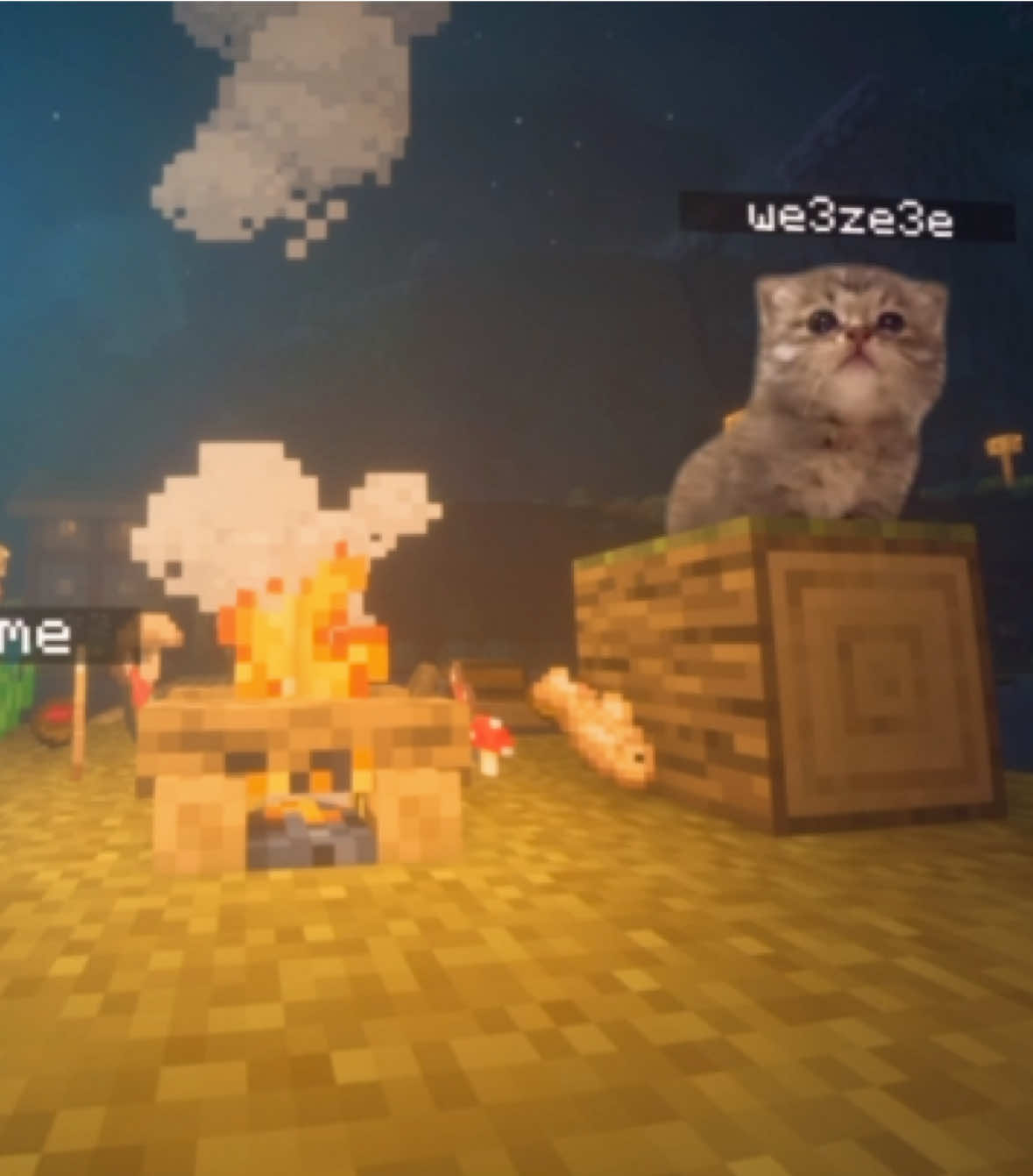 Добавлю ваш ник котику, смотрите описание профиля! #cat #cattok #catlover #Minecraft #memestiktok 