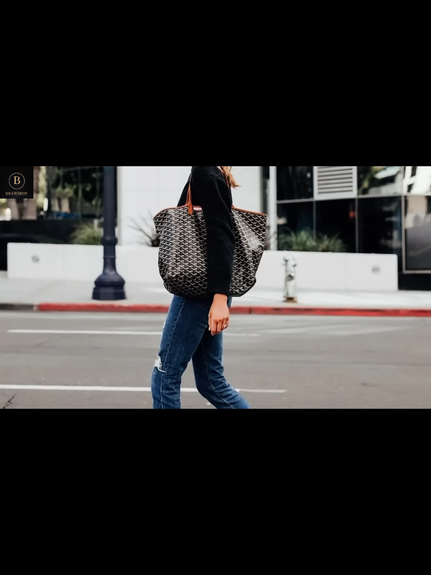 Goyard  #goyard #goyardbag #luxurylifestyle #luxuryfashion #luxurybrands