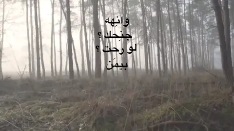اسمع ؟ #explore ، #سمير_صبيح ، #شعر 