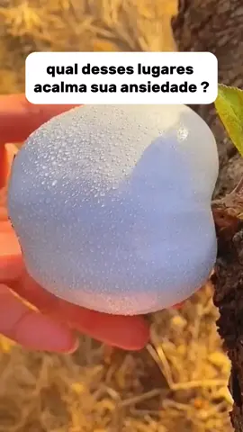 qual desses lugares? #vibe #Nostalgia #fyp #letgo #asmr 