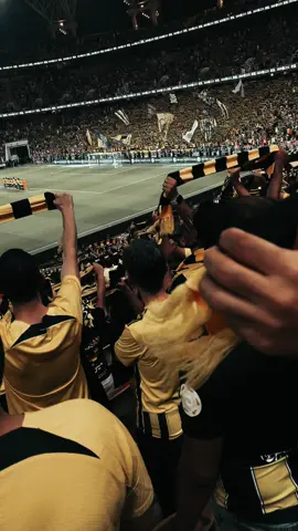 شعارنا يا اغلى شعار💛🖤#fyp #xplore #العميد #الاتحاد 🖤💛 #foryou 