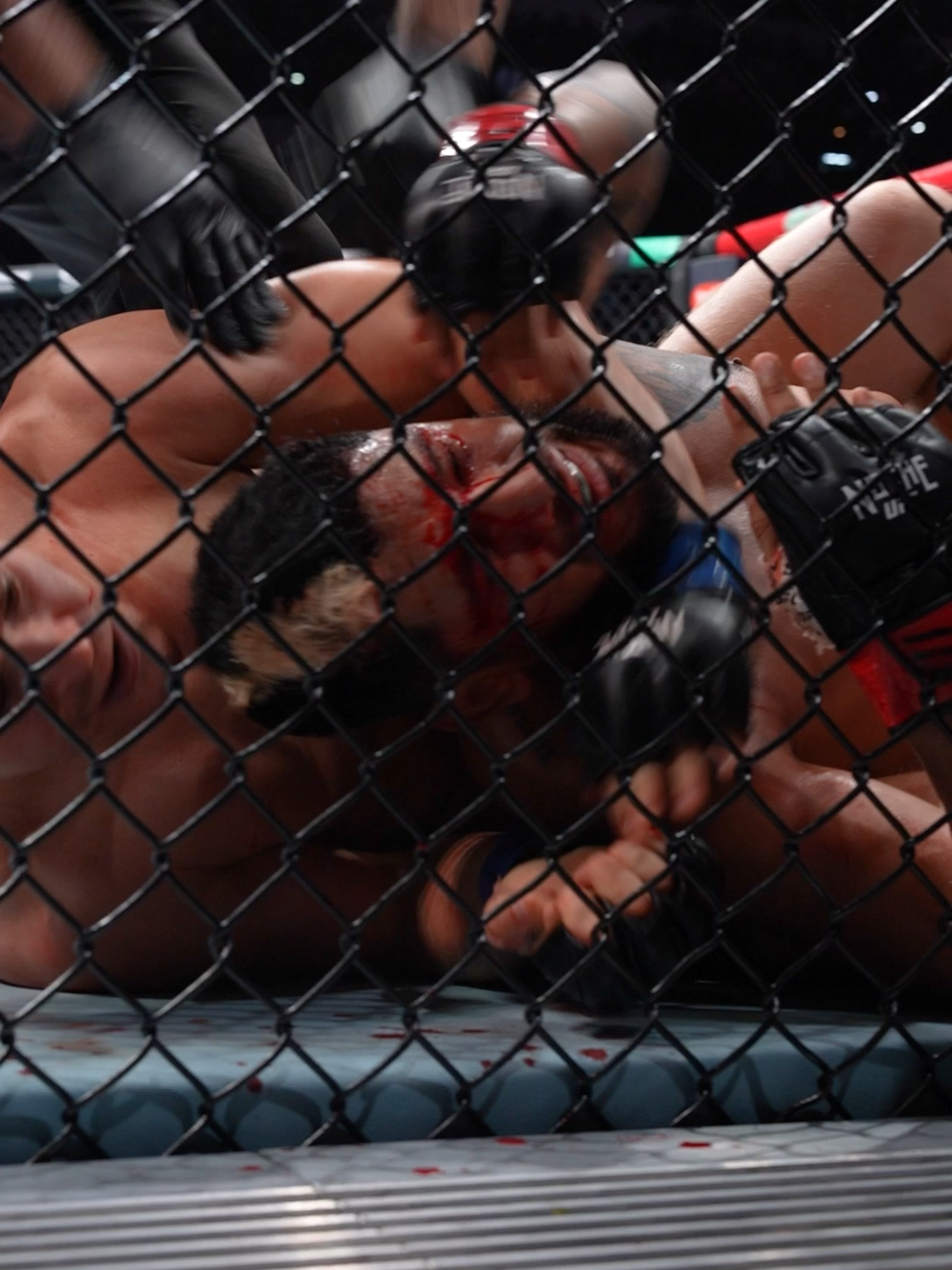 Dusko Todorovic makes him tap in round one 😤 #UFC #mma #duskotodorovic