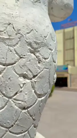 #جامعه واسط كليه التربيه الرياضيه #لايك_متابعه_اكسبلور_لو_عجبكم🙂 #شعب_الصيني_ماله_حل😂😂 