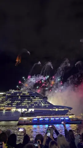 Hamburg 😍Cruise Days 2025 12.09 bis 14.09  #hamburg #aida #hafen #deutchland #cruise 