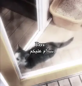 .#خلدوف🇸🇦 