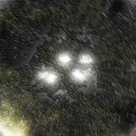 I didn't say anything about the basement? #edit #doake#dexter 