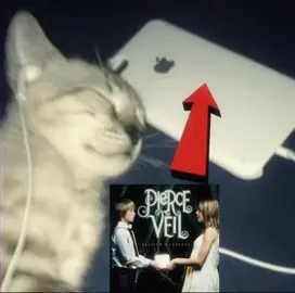 #piercetheveil #fyp #ptv #piercetheveiltok #fypp 