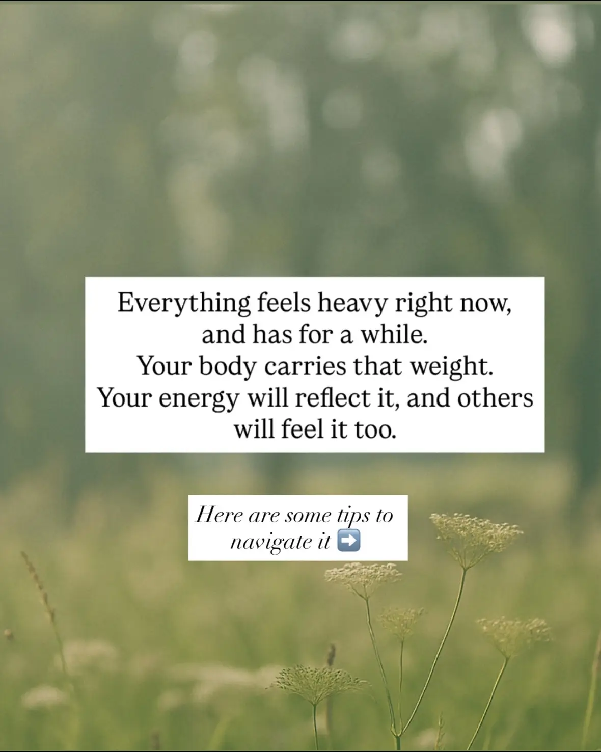 The world feels heavy and has for some time. It’s hard being a person in this world and it’s definitely hard to raise children in it. All we have control over is our corner of the world. It can make us feel powerless or we can choose to empower ourselves.  Your body carries the weight of all this hate. No supplement, no food, no workout, no pill can heal what only regulation can.  Put your faith in God. Regulate yourself. And take care of your corner of the world.  #nervoussystemhealing #maternalmentalhealth #MentalHealth 