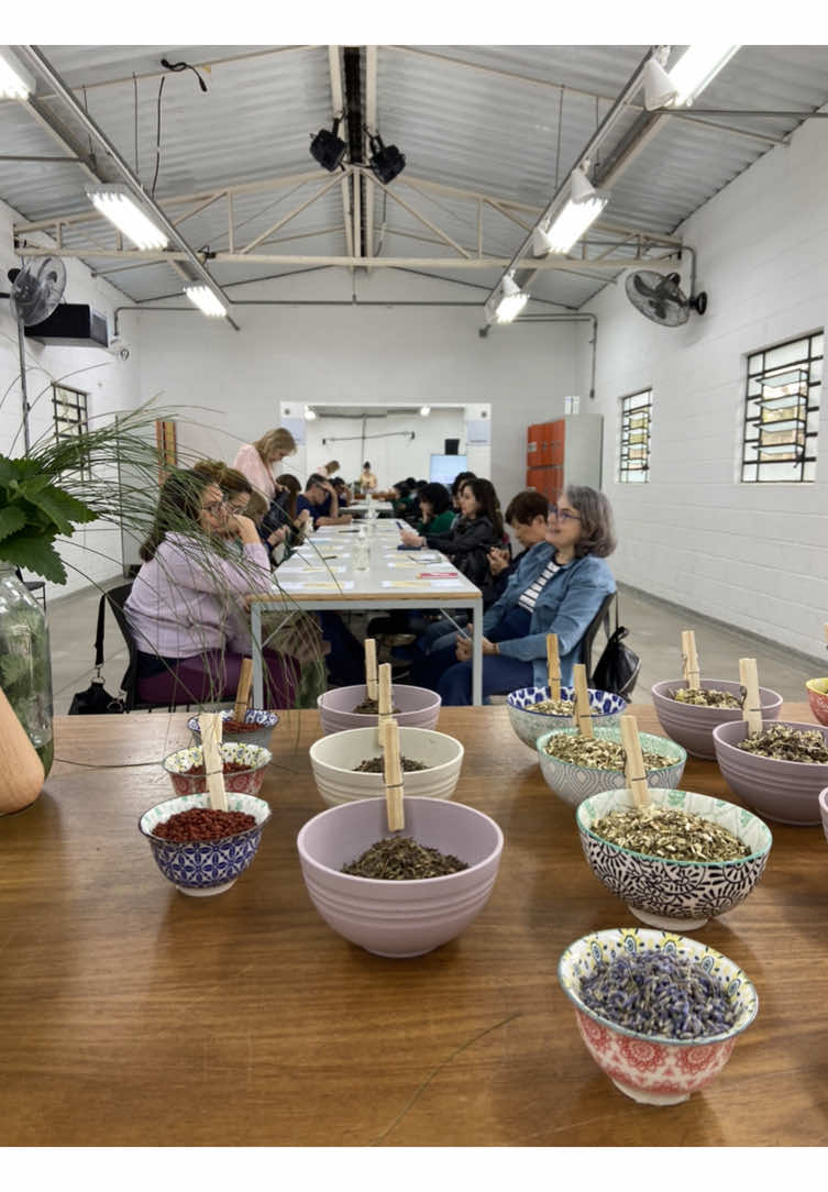 Hoje foi dia de oficina de Chás e Infusões com Ervas Medicinais no Sesc Ipiranga 🫖🌿