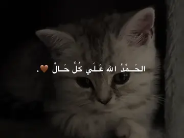 الحمد لله 🤎 #islam #kurdistan #duhok_zaxo_amedi_semel_akre #الحمدلله_دائماً_وابداً💚🌧️🤲 
